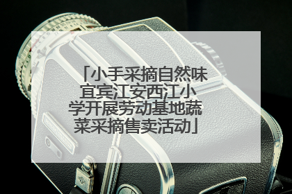 小手采摘自然味 宜宾江安西江小学开展劳动基地蔬菜采摘售卖活动
