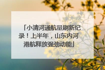 小清河通航量刷新纪录！上半年，山东内河港航释放强劲动能