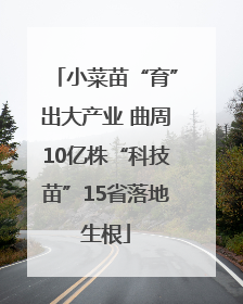 小菜苗“育”出大产业 曲周10亿株“科技苗”15省落地生根