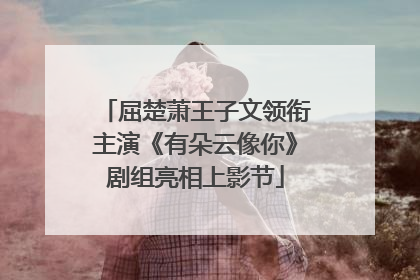 屈楚萧王子文领衔主演《有朵云像你》剧组亮相上影节
