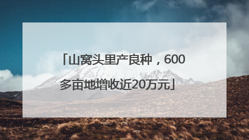 山窝头里产良种，600多亩地增收近20万元