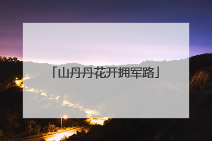 山丹丹花开拥军路
