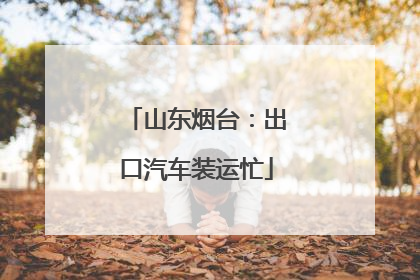 山东烟台：出口汽车装运忙
