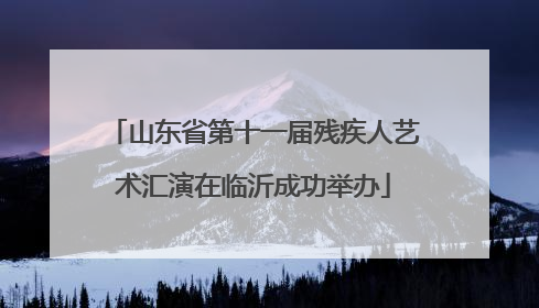 山东省第十一届残疾人艺术汇演在临沂成功举办