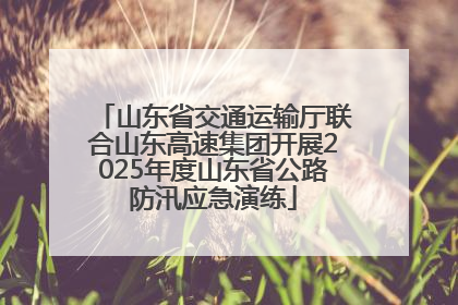 山东省交通运输厅联合山东高速集团开展2025年度山东省公路防汛应急演练