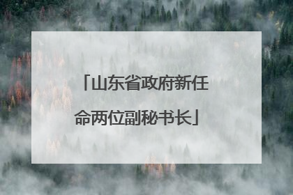 山东省政府新任命两位副秘书长