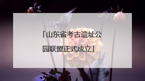 山东省考古遗址公园联盟正式成立