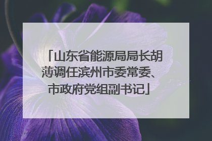 山东省能源局局长胡薄调任滨州市委常委、市政府党组副书记