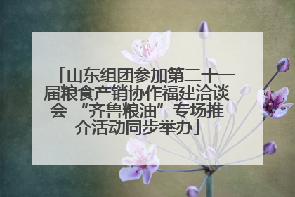 山东组团参加第二十一届粮食产销协作福建洽谈会 “齐鲁粮油”专场推介活动同步举办