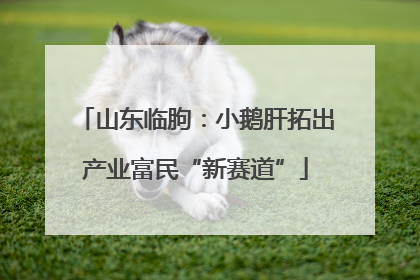 山东临朐：小鹅肝拓出产业富民“新赛道”