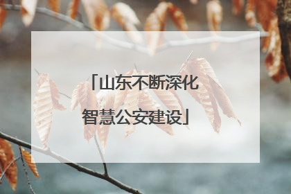 山东不断深化智慧公安建设