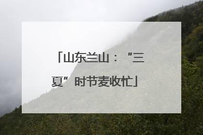 山东兰山：“三夏”时节麦收忙
