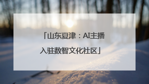 山东夏津：AI主播入驻数智文化社区
