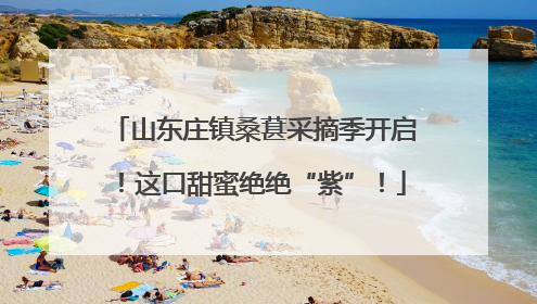 山东庄镇桑葚采摘季开启！这口甜蜜绝绝“紫”！