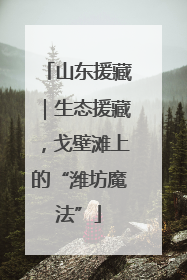山东援藏｜生态援藏，戈壁滩上的“潍坊魔法”