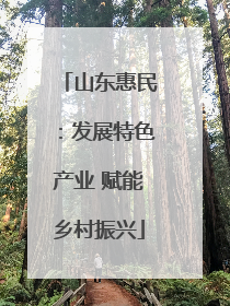 山东惠民：发展特色产业 赋能乡村振兴