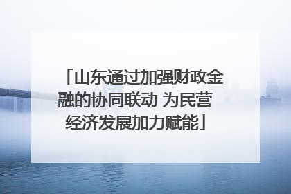 山东通过加强财政金融的协同联动 为民营经济发展加力赋能