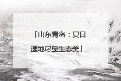山东青岛：夏日湿地尽显生态美