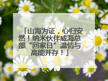 山海为证，心归安然！纳米伙伴威海总部“回家日”温情与高能并存！