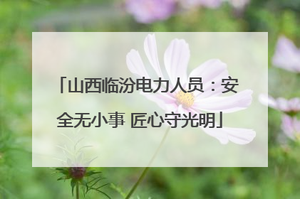 山西临汾电力人员:安全无小事 匠心守光明