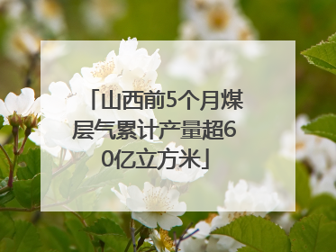 山西前5个月煤层气累计产量超60亿立方米