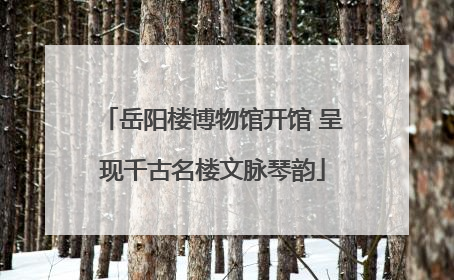 岳阳楼博物馆开馆 呈现千古名楼文脉琴韵