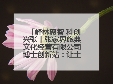 峰林聚智 科创兴张丨张家界旅典文化经营有限公司博士创新站：让土家织锦“智”造出非遗新传奇