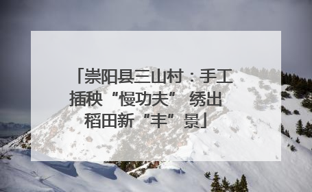 崇阳县三山村：手工插秧“慢功夫” 绣出稻田新“丰”景