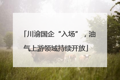川渝国企“入场”，油气上游领域持续开放