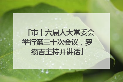 市十六届人大常委会举行第三十次会议，罗缵吉主持并讲话