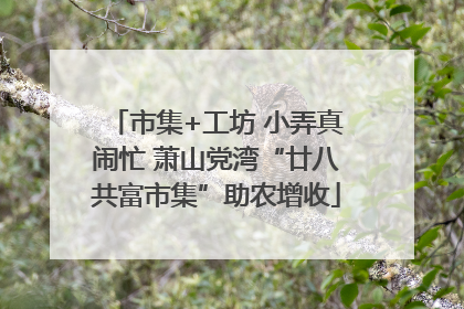 市集+工坊 小弄真闹忙 萧山党湾“廿八共富市集”助农增收