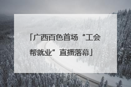 广西百色首场“工会帮就业”直播落幕