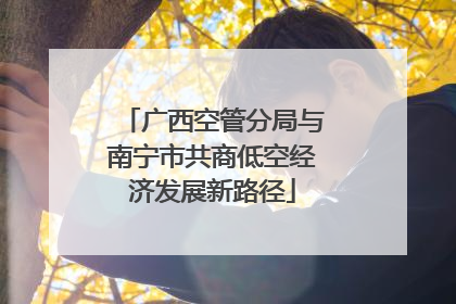 广西空管分局与南宁市共商低空经济发展新路径