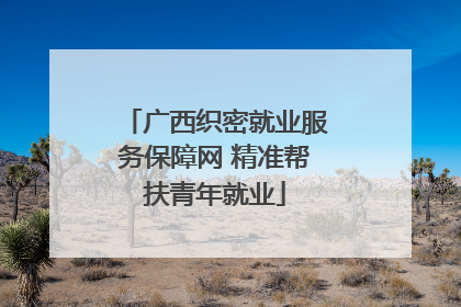 广西织密就业服务保障网 精准帮扶青年就业
