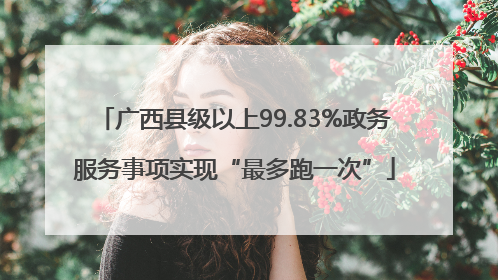 广西县级以上99.83%政务服务事项实现“最多跑一次”