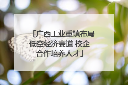 广西工业重镇布局低空经济赛道 校企合作培养人才