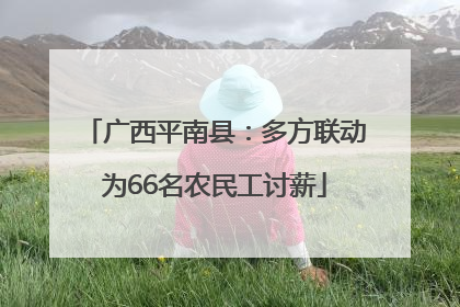 广西平南县：多方联动为66名农民工讨薪