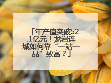 年产值突破52.1亿元！龙岩连城如何靠“一站一品”致富？