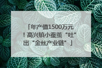 年产值1500万元!高兴镇小蚕茧“吐”出“金丝产业链”