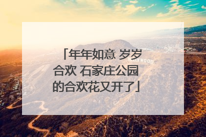 年年如意 岁岁合欢 石家庄公园的合欢花又开了