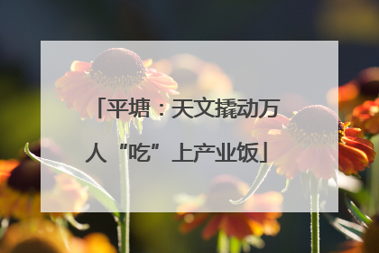 平塘：天文撬动万人“吃”上产业饭