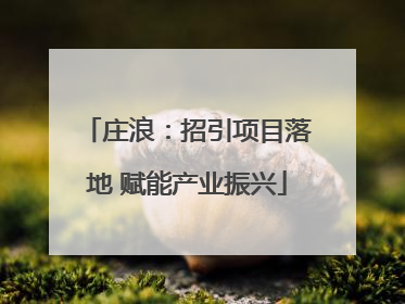 庄浪：招引项目落地 赋能产业振兴