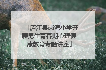 庐江县岗湾小学开展男生青春期心理健康教育专题讲座