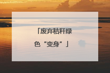 废弃秸秆绿色“变身”
