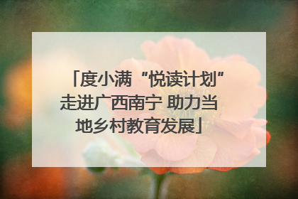 度小满“悦读计划”走进广西南宁 助力当地乡村教育发展