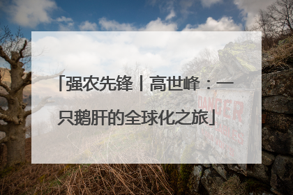强农先锋丨高世峰：一只鹅肝的全球化之旅