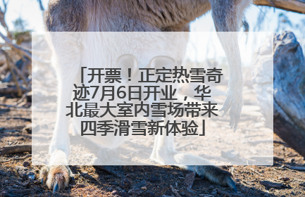 开票！正定热雪奇迹7月6日开业，华北最大室内雪场带来四季滑雪新体验