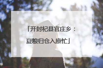 开封杞县官庄乡：夏粮归仓入廪忙