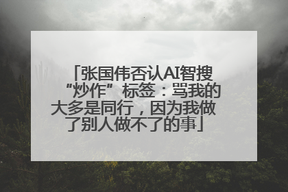 张国伟否认AI智搜“炒作”标签：骂我的大多是同行，因为我做了别人做不了的事
