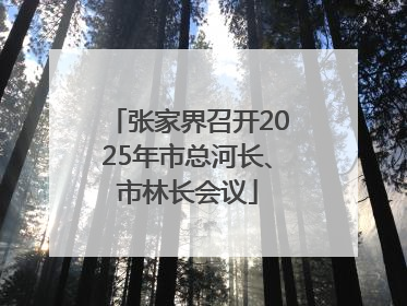 张家界召开2025年市总河长、市林长会议